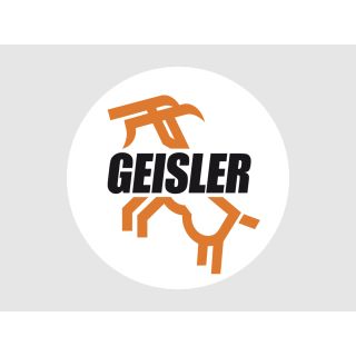 >>    GEISLER